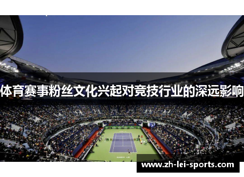 体育赛事粉丝文化兴起对竞技行业的深远影响 体育赛事粉丝文化兴起对竞技行业的深远影响