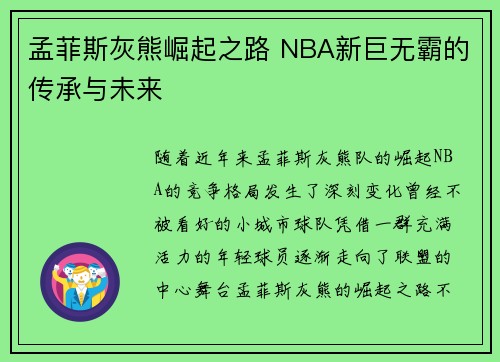 孟菲斯灰熊崛起之路 NBA新巨无霸的传承与未来 孟菲斯灰熊崛起之路 NBA新巨无霸的传承与未来