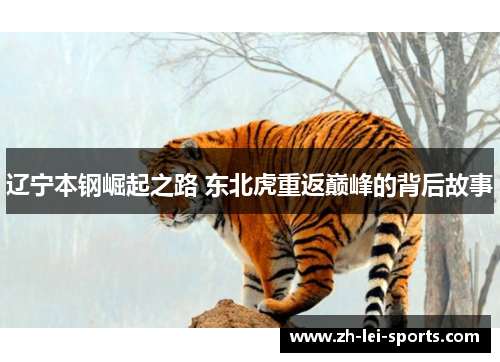 辽宁本钢崛起之路 东北虎重返巅峰的背后故事 辽宁本钢崛起之路 东北虎重返巅峰的背后故事